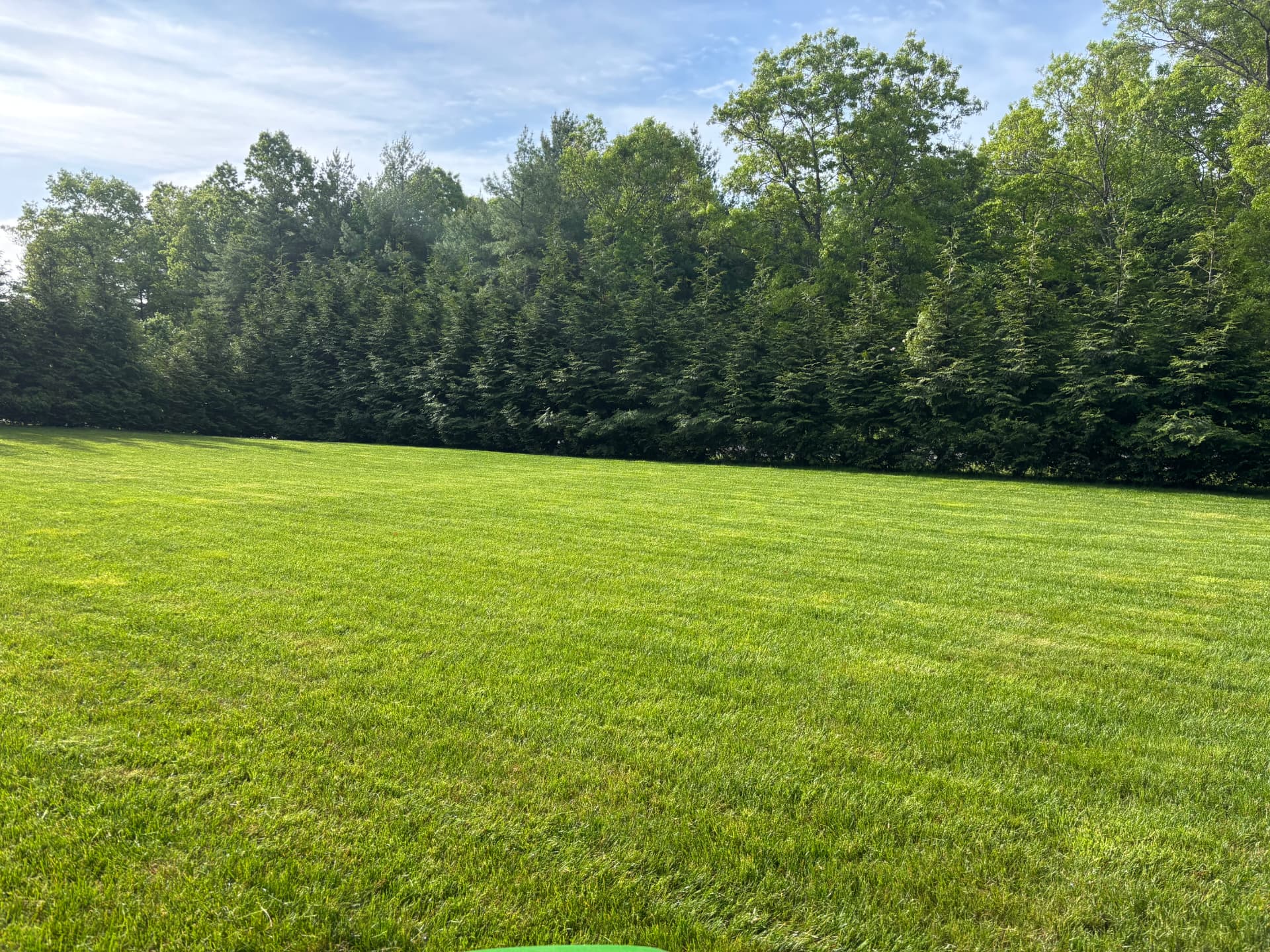 Wide green lawn backed by a full tree line under a bright sky